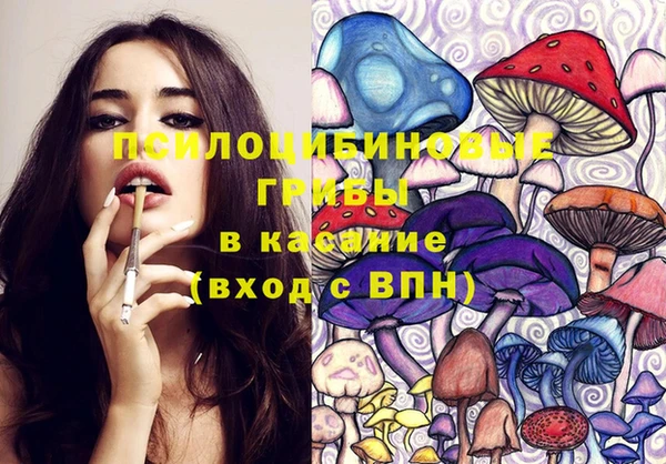 марки nbome Вяземский
