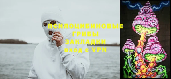 PSILOCYBIN Волоколамск