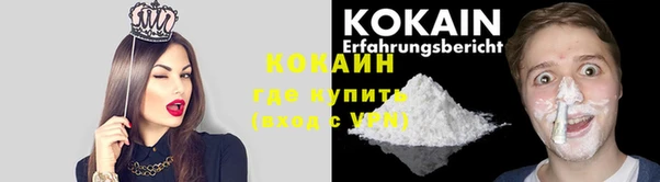 марки nbome Вяземский