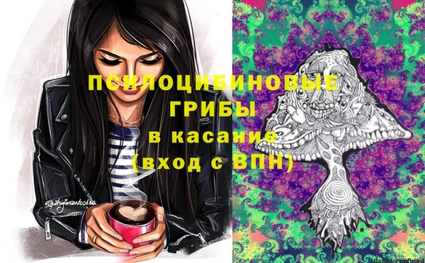 твердый Вязьма