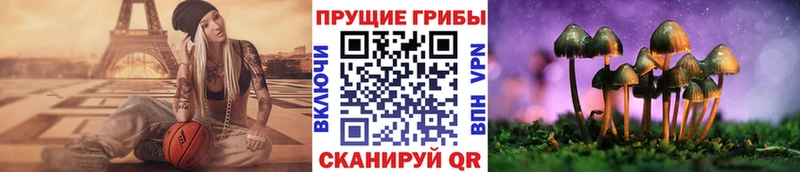 Галлюциногенные грибы Magic Shrooms  Купить закладки  Гусь-Хрустальный 